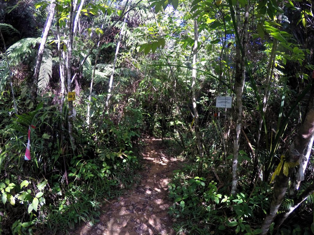 Always remember to follow the red & white tape.