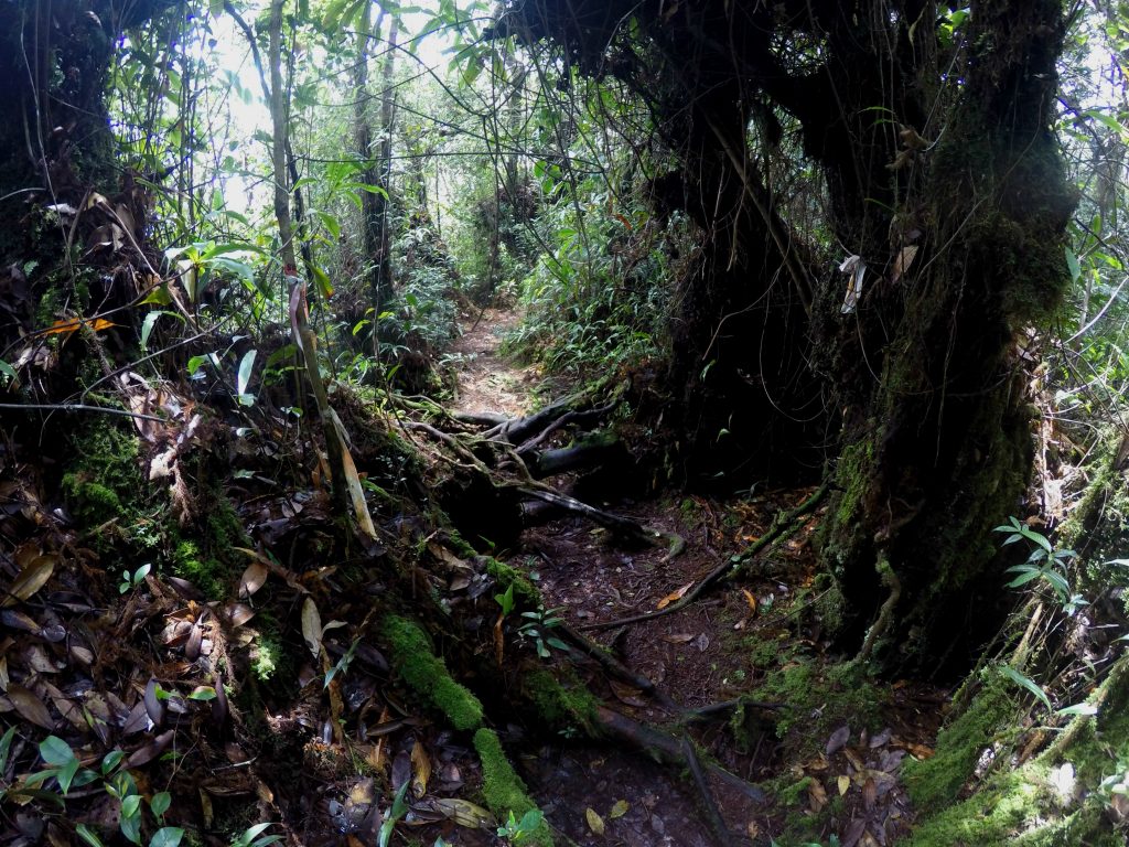 Navigating through the slippery & tricky terrain.