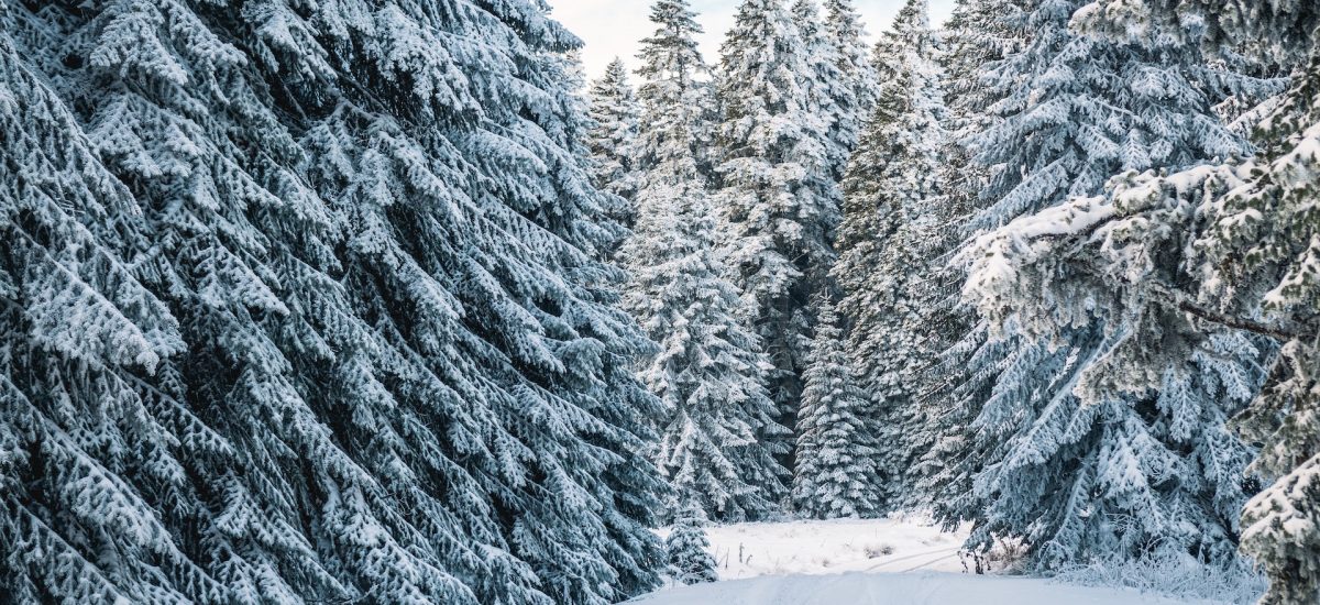 5 Reasons To Take A Winter Vacation