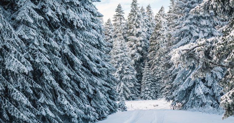 5 Reasons To Take A Winter Vacation